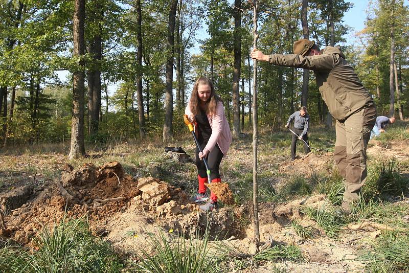 Sázení stromů v Jubilejní aleji k výročí 100 let od vzniku ČSR