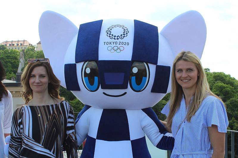 Lucie Šafářová se stala ambasadarkou olympijského výboru, angažuje se také v charitativních projektech.