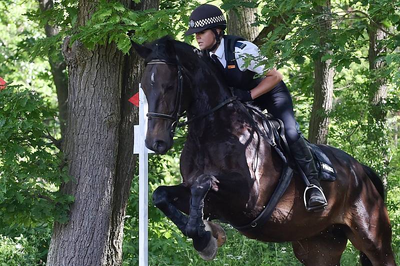 Dvacátý ročník Mezinárodního policejního mistrovství v jezdectví se konal v brněnské Panské Líše. Nechyběl ani doprovodný program s policejními ukázkami.