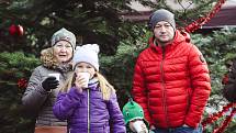 V neděli rozsvítili vánoční strom v brněnské zoo. Hrály tam i děti na flétnu.