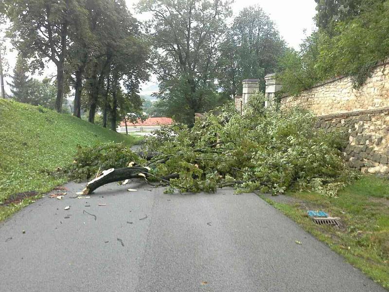 Jihomoravští hasiči se celou noc nezastavili. Bouřky a vítr v noci na pátek porážely stromy, desítky tisíc lidí byly bez elektřiny.