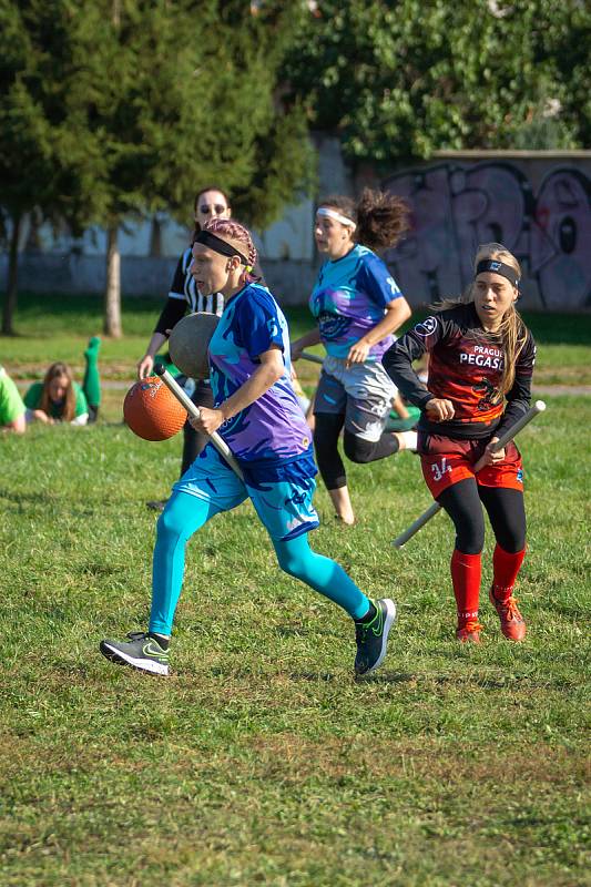 V Brně se konalo Mistrovství České republiky ve famfrpálu. Domácímu týmu Brno Banshees se podařilo zvítězit a poprvé tak sesadit pražský tým Prague Pegasus z pomyslného trůnu.