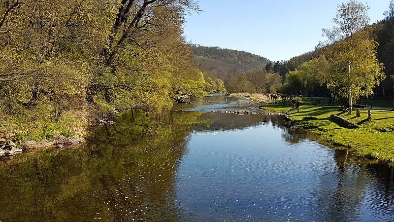 Řeka Jihlava pod zříceninou hradu Templštejn a Biskoupkami.