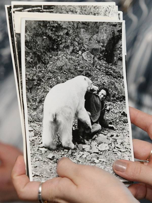 Kamčatská medvíďata Toby a Kuba z brněnské zoologické zahrady slaví rok.