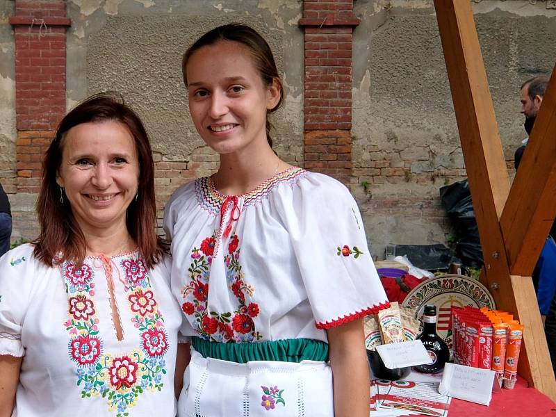 Den národnostních menšin se uskuteční v neděli 19. září na kuřimském zámku.