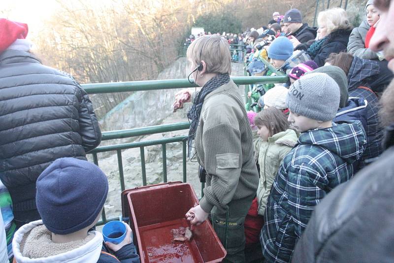 Vánoční krmení v brněnské zoologické zahradě.