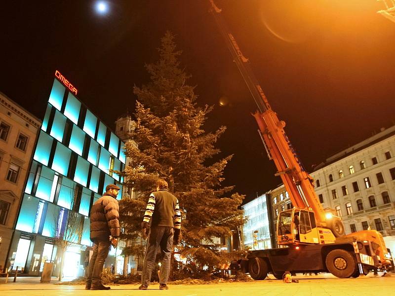 Vánoční strom na brněnském náměstí Svobody už zmizel. V pátek večer jej skáceli.