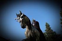 Studenti veterinární univerzity proměnili sochu koně v postavu z Pána prstenů. V minulých letech byl kůň předělán na postavu ze Shreka, Harryho Pottera nebo i My Little Pony.