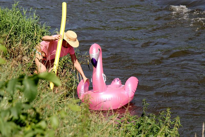 Pestrý program nabídl sobotní Festival na nábřeží. Konal se na několika místech podél řeky Svitavy od Bílovic po Tuřany. Součástí byla i neckyáda.