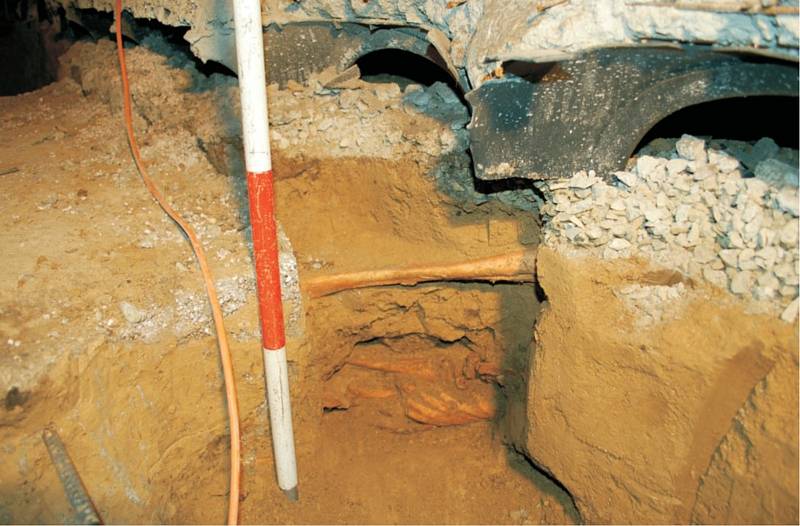 Kostry objevili archeologové ve sklepě domu ve Staňkově ulici v Brně.