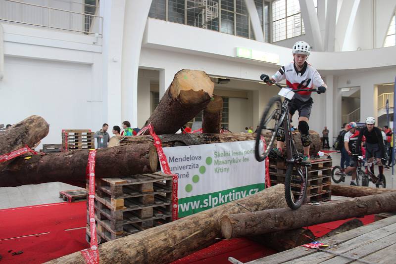 Nejrůznější druhy sportu, které se hrají ve stoje, vsedě i vleže, si mohli vyzkoušet návštěvníci festivalu Life! na brněnském výstavišti.