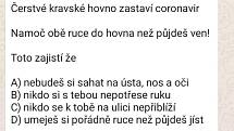 Vtipy ke koronaviru, které kolují na internetu a sociálních sítích.