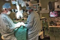 Lékaři ze svatoanenské nemocnice jako první v České republice zvládli operaci korneální neurotizace.