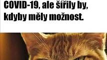 Těmito vtípky na koronavirus se lidé bavili v květnu na sociálních sítích. Poslední týdny zpestřila i ministryně financí Alena Schillerová a její (ne)angličtina.