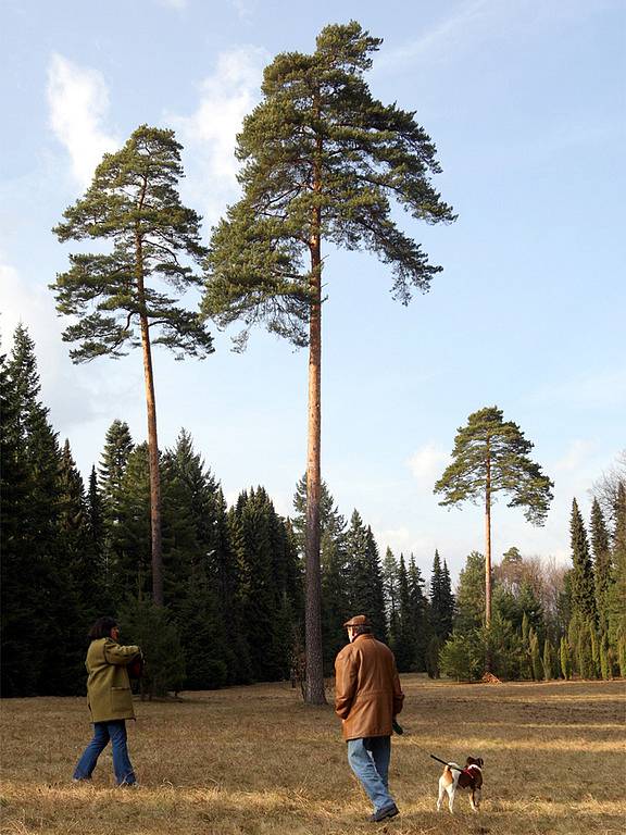 Arboretum v Řícmanicích na Brněnsku zažilo rekordní návštěvu