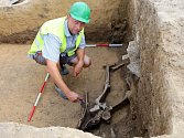 Archeologové na Zelném trhu v Brně odkryli zásobní jámu na obilí. Byla v ní část kostry dítěte a několik dalších kostí