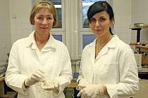 Mikropelety, které vyvinul tým Kateřiny Dvořáčkové (vpravo) a Miloslavy Rabiškové z Veterinární a farmaceutické univerzity v Brně, bezpečně doputují až do tlustého střeva.
