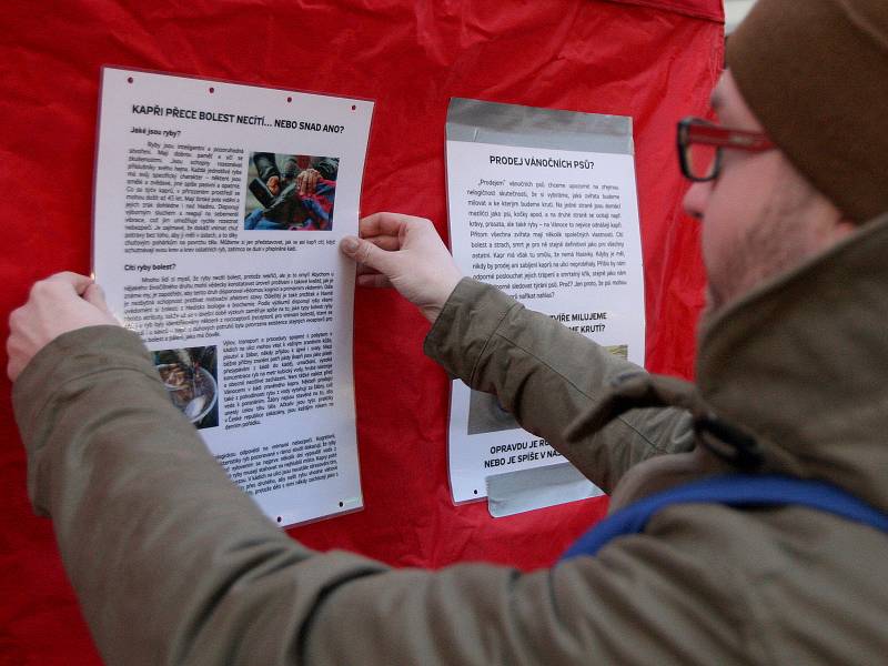 Protestní akce ochránců zvířat Prodej vánočních psů se konala v brněnské Masarykově ulici.