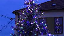 Vánoční strom ve Lhotě Rapotina.