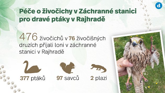 Celkem 476 živočichů přijali loni v Záchranné stanici pro dravé ptáky v Rajhradě. Infografika: Deník/Karolína Šulíková