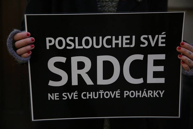 Spolek Zvířata nejíme pořádá tradiční předvánoční protest proti pouličnímu prodeji kaprů. Ten je spojen s jejich zabíjením přímo na stáncích, což se aktivistům nelíbí.