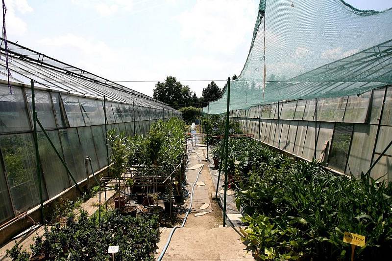 Tak trochu smutnou oslavu mají za sebou žáci a učitelé ze střední zahradnické školy v brněnských Bohunicích. Připomněli si totiž sto desáté výročí založení školy a zároveň se rozloučili s jejím dosavadním sídlem. 