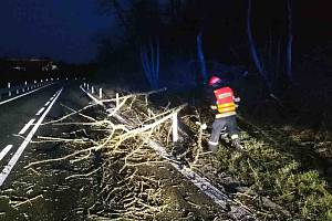Vichr trápil jižní Moravu. Stromy padaly na silnice