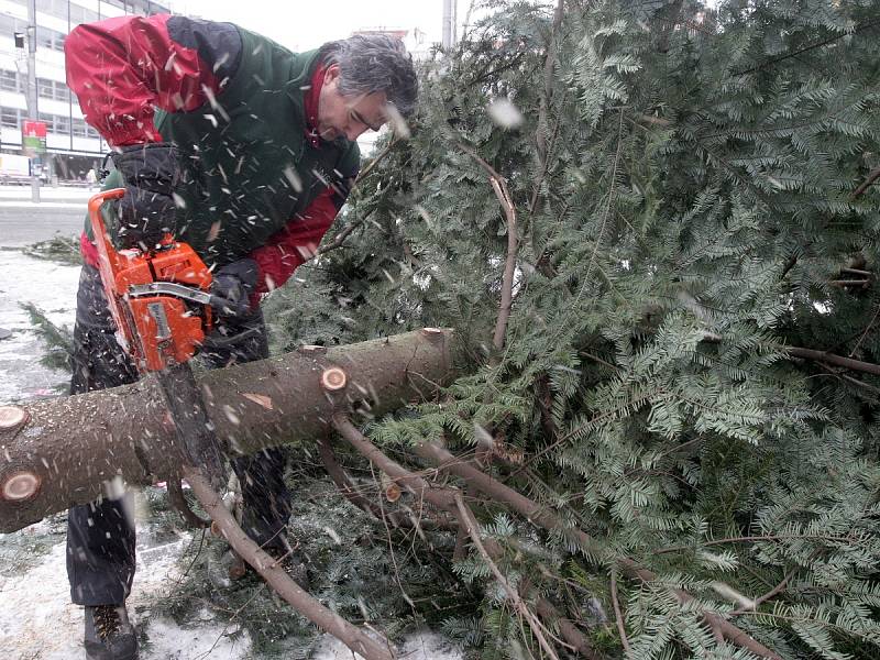 Vánoční strom, který od konce listopadu zdobil brněnské náměstí Svobody, dozářil. V pondělí odpoledne jej technici pokáceli. 