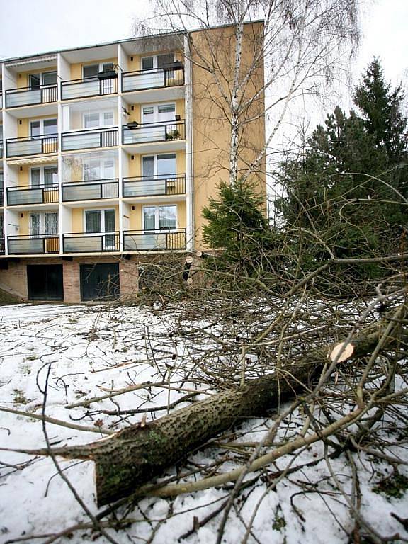 Silný vítr v Brně shazoval větve. V Žabovřeskách dokonce spadl i strom.