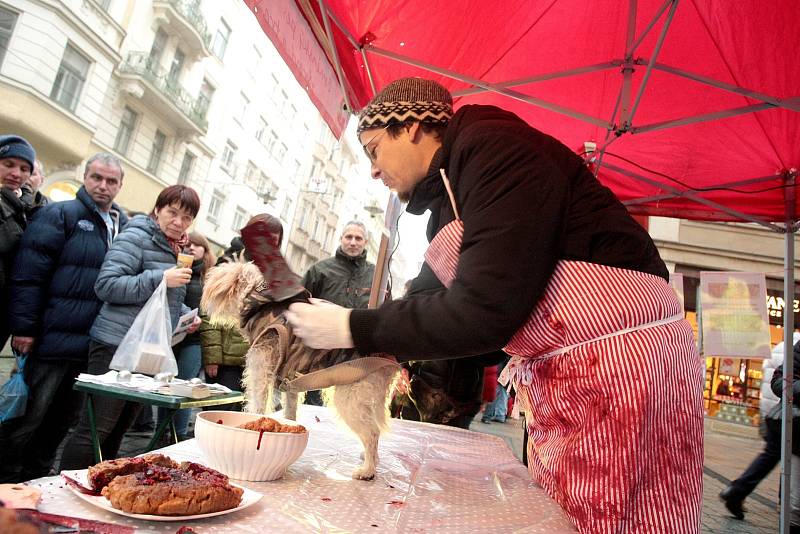 Aktivisté v centru Brna postavili stánek s prodejem vánočních psů. Protestovali tím proti krutému zacházení s kapry. 