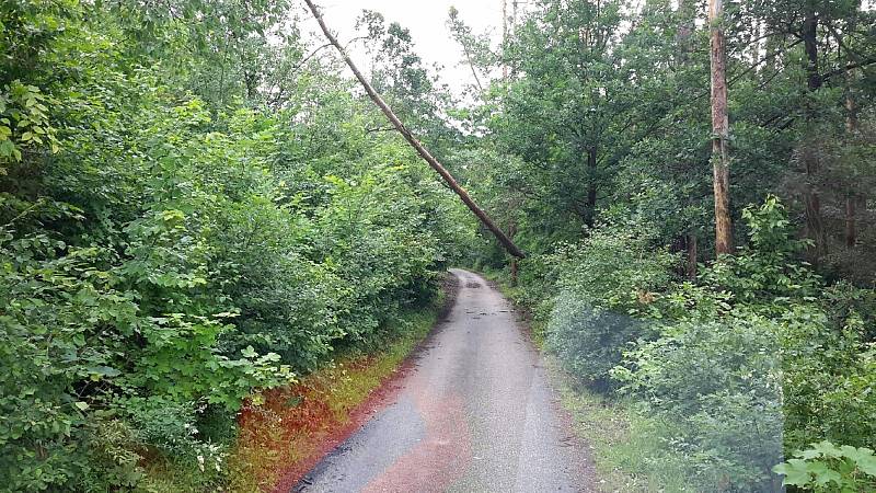 Téměř šedesát událostí souvisejících s počasím o víkendu zaměstnalo jihomoravské hasiče. Převážně se jednalo o spadené stromy.