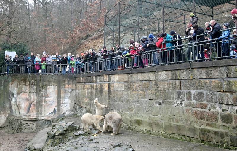 Štědrý den v brněnské zoo.