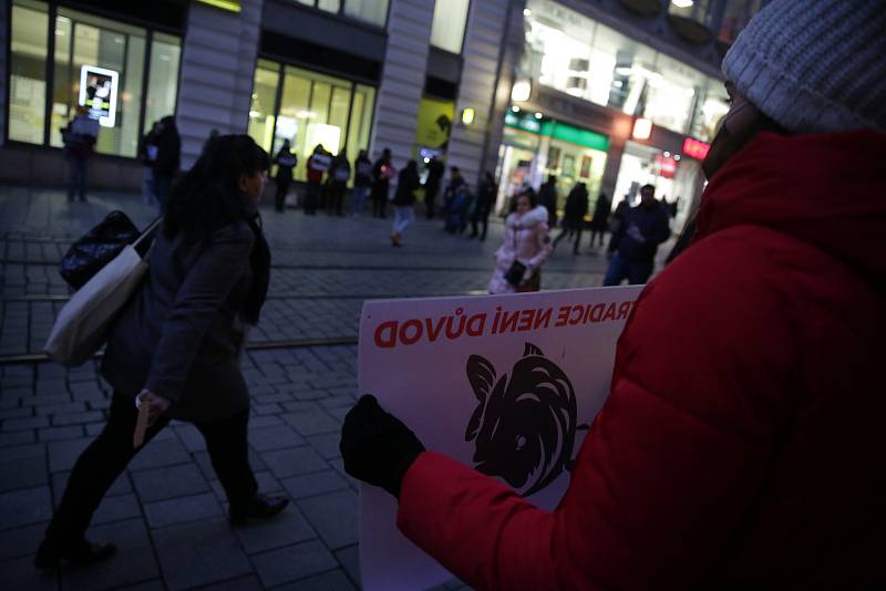 Spolek Zvířata nejíme pořádá tradiční předvánoční protest proti pouličnímu prodeji kaprů. Ten je spojen s jejich zabíjením přímo na stáncích, což se aktivistům nelíbí.