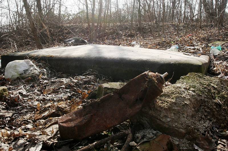 Poházené plastové lahve a plechovky v parcích, černé skládky v lese nebo krabice od vína u řeky. Nepořádek, který hyzdí veřejný prostor, se 8. dubna už počtvrté vydají Brňané uklidit. Startuje akce s názvem Ukliďme Česko.