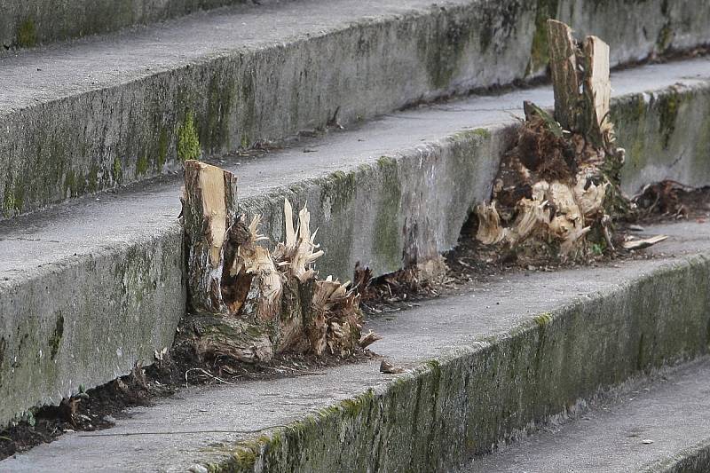 Brigáda na stadionu Za Lužánkami.