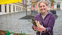 Pokračování festivalu Vivat Zelňák přineslo lidem na trh chřestová jídla i doprovodný program s motivem oblíbené zeleniny.