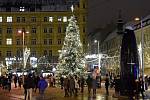 Vánoční strom na náměstí Svobody v Brně. Letos ho rozsvítí 24. listopadu.