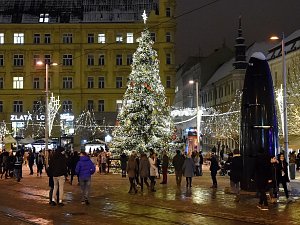 Vánoční strom na náměstí Svobody v Brně. Letos ho rozsvítí 24. listopadu.
