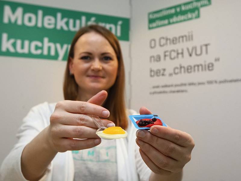 Den chemie na fakultě brněnského Vysokého učení technického.