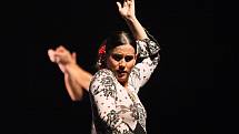 Flamenco je vášeň. A bez vášně není flamenco