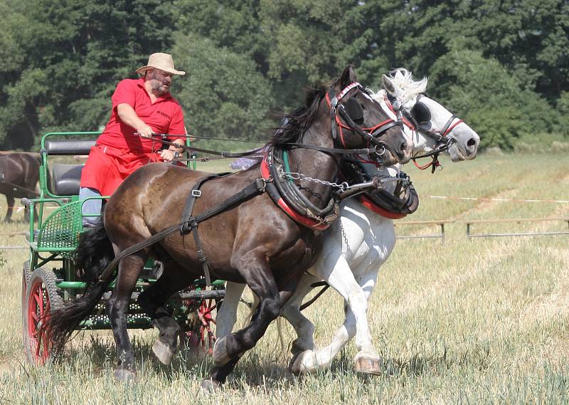 I přes velké horko se v sobotu sjelo do Rosic na Brněnsku na čtyřicet závodníků. Zúčastnili se devátého ročníku vozatajských závodů.