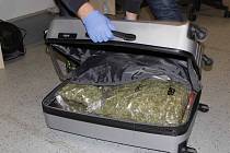 Šest kilo marihuany za více než milion korun zabalil mladík do cestovního kufru. Zavazadlo si uložil v úschovně na hlavním nádraží v Brně.