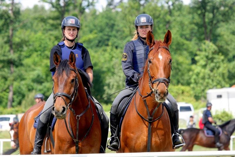 Skokové derby oživilo sobotní dopoledne v jezdeckém areálu Panská Lícha v brněnské městské části Lesná. Utkali se tam policisté z Česka, Itálie, Německa a dalších zemí na Mezinárodním policejním mistrovství České republiky v jezdectví.