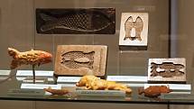 Výstavu věnovanou tématu ryb v lidové kultuře v úterý zahájilo Moravské zemské muzeum v Brně. Návštěvníci se dozvědí, jak se fenomén ryb odráží v lidové kultuře.