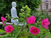 Srpen v brněnské botanické zahradě nabízí spoustu rozkvetlých objektů k obdivování i fotografování.