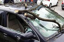 Kvůli silnému větru spadla část stromu na auto v brněnské Křídlovické ulici.