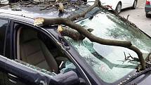 Kvůli silnému větru spadla část stromu na auto v brněnské Křídlovické ulici.
