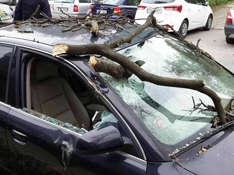 Kvůli silnému větru spadla část stromu na auto v brněnské Křídlovické ulici.