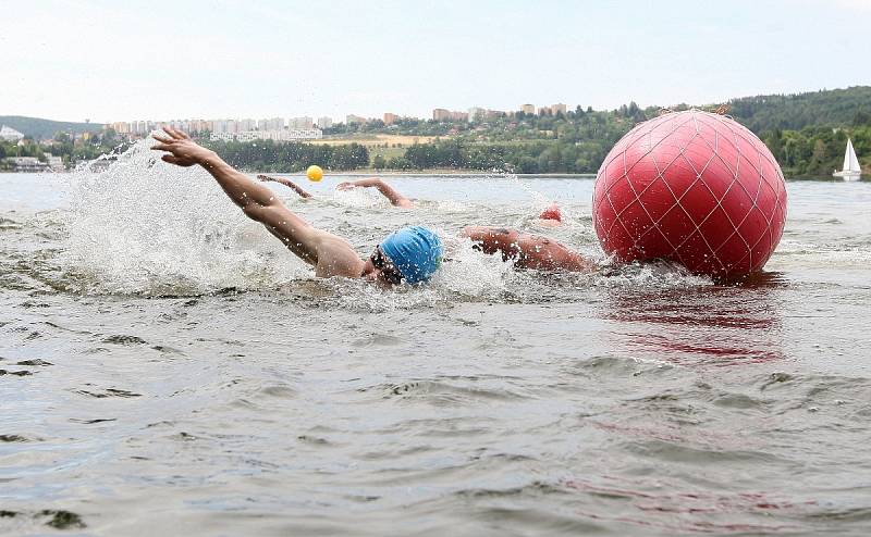 Plavecký maraton na Brněnské přehradě.