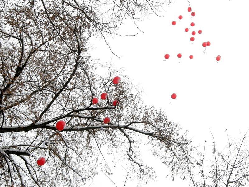 Čtvrt století od obnovení činnosti si ve středu připomněla brněnská diecézní charita. Na oslavu vypustila v pravé poledne do vzduchu pětadvacet balónků.